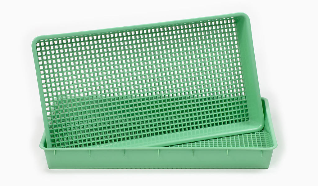 540x300x60mm Perforated Tray